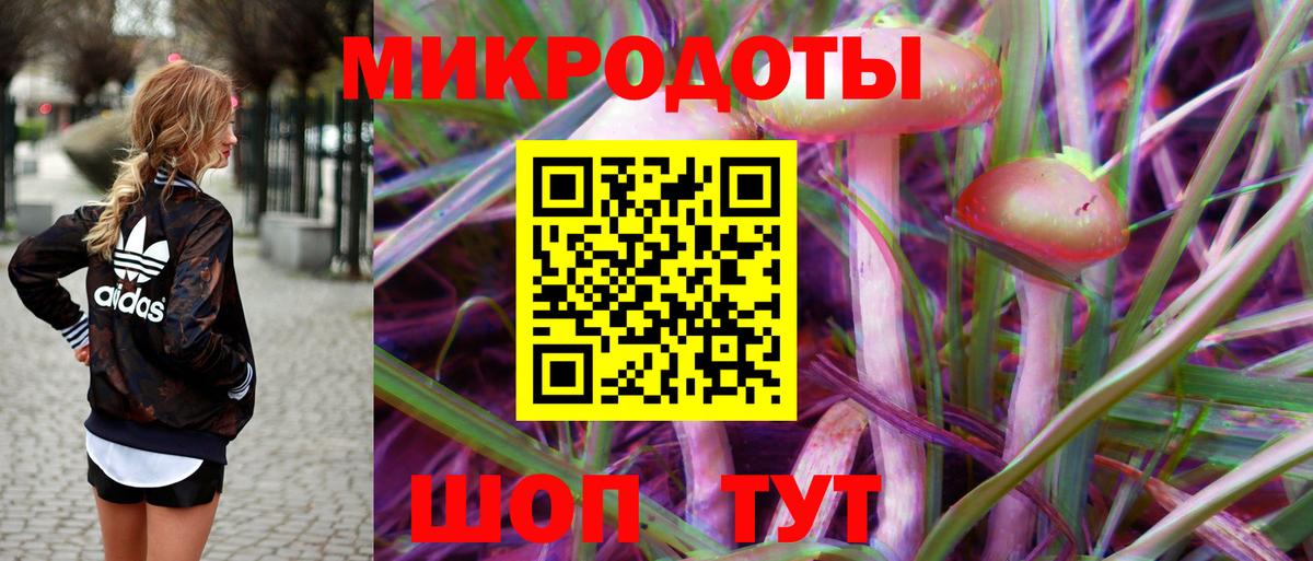 Галлюциногенные грибы Psilocybine cubensis Темрюк