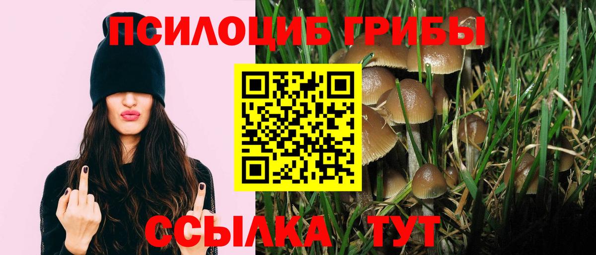 Темрюк  Галлюциногенные грибы Psilocybine cubensis  Вход с VPN 